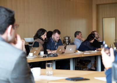 Global Perspectives on Family Capitalism 12